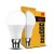 KODAK Max LED Izzó Globe A60 9W B22 270° 6000K (806 lumen)