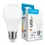 Modee Lighting LED Izzó Globe A60 8,5W E27 200° 6000K (806 lumen) ERP